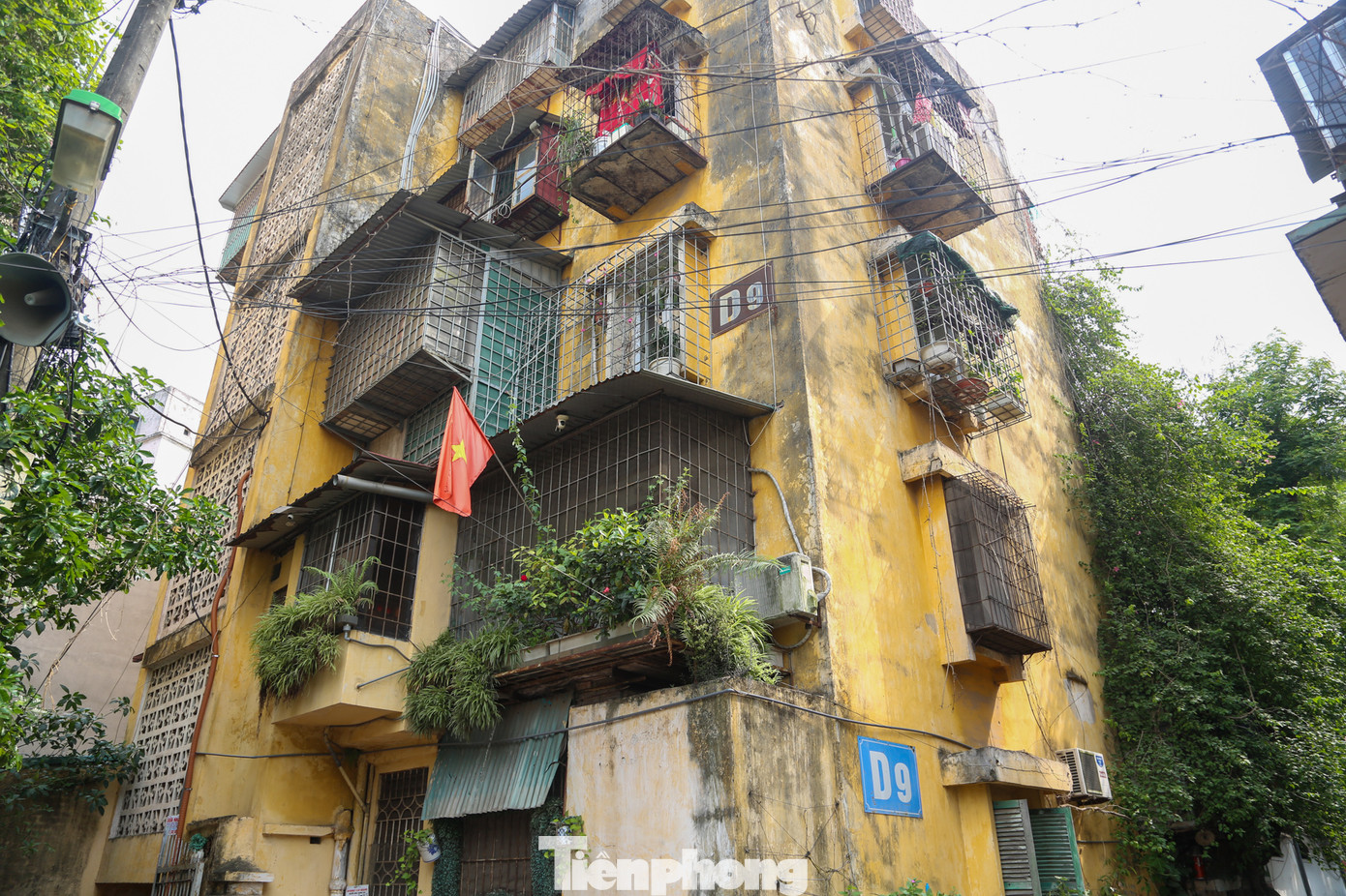 Hầu hết các căn chung cư của Hà Nội như Kim Liên, Thành Công... đều xuất hiện tình trạng cơi nới "chuồng cọp" diễn ra rất phổ biến.