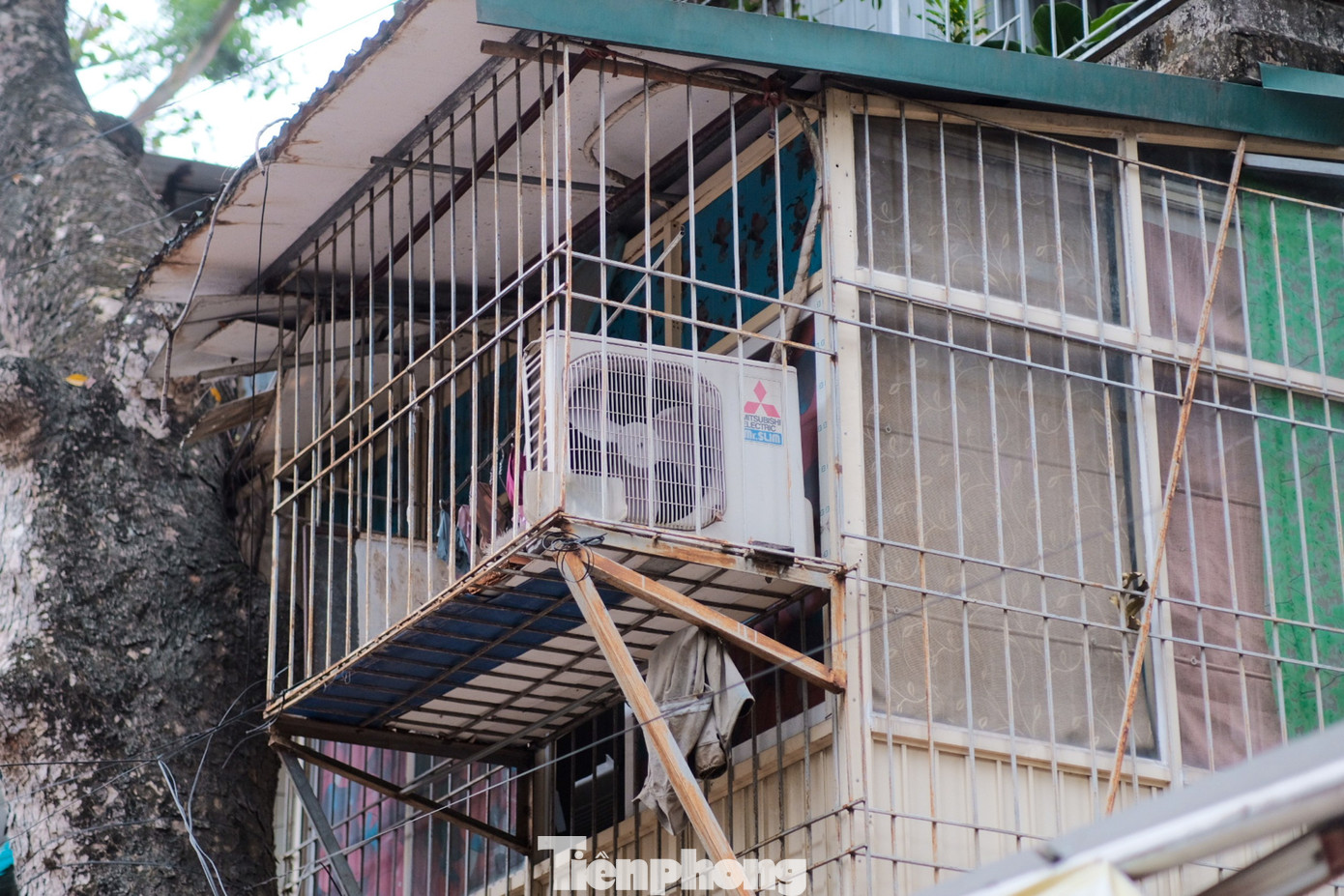 Những chuồng cọp được gia cố kiên cố bằng những thanh sắt và mái tôn lớn.