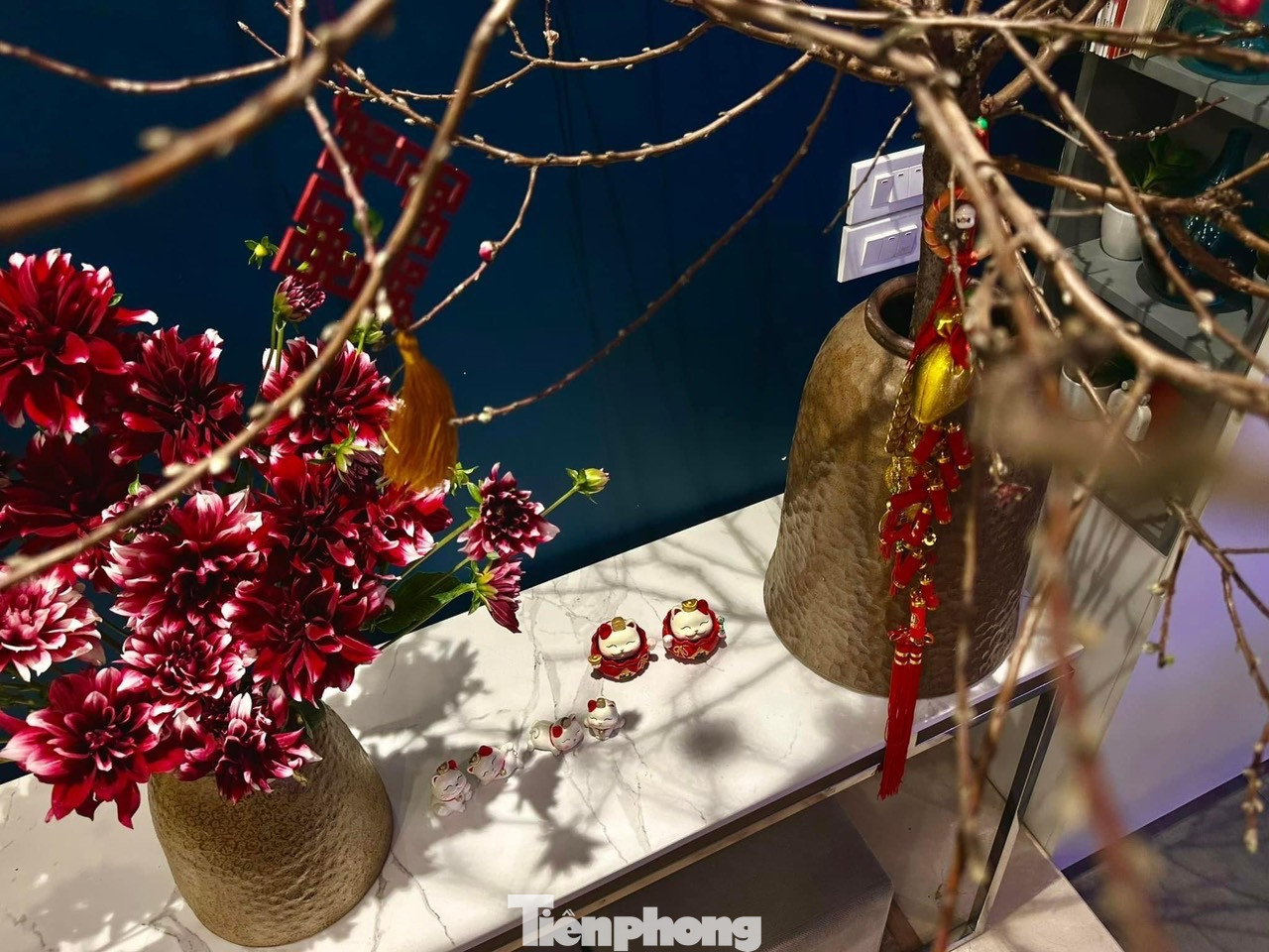 Đàn mèo duyên dáng được trang trí cạnh những lọ hoa đặc trưng của ngày Tết Nguyên đán tạo nên khung cảnh sinh động.