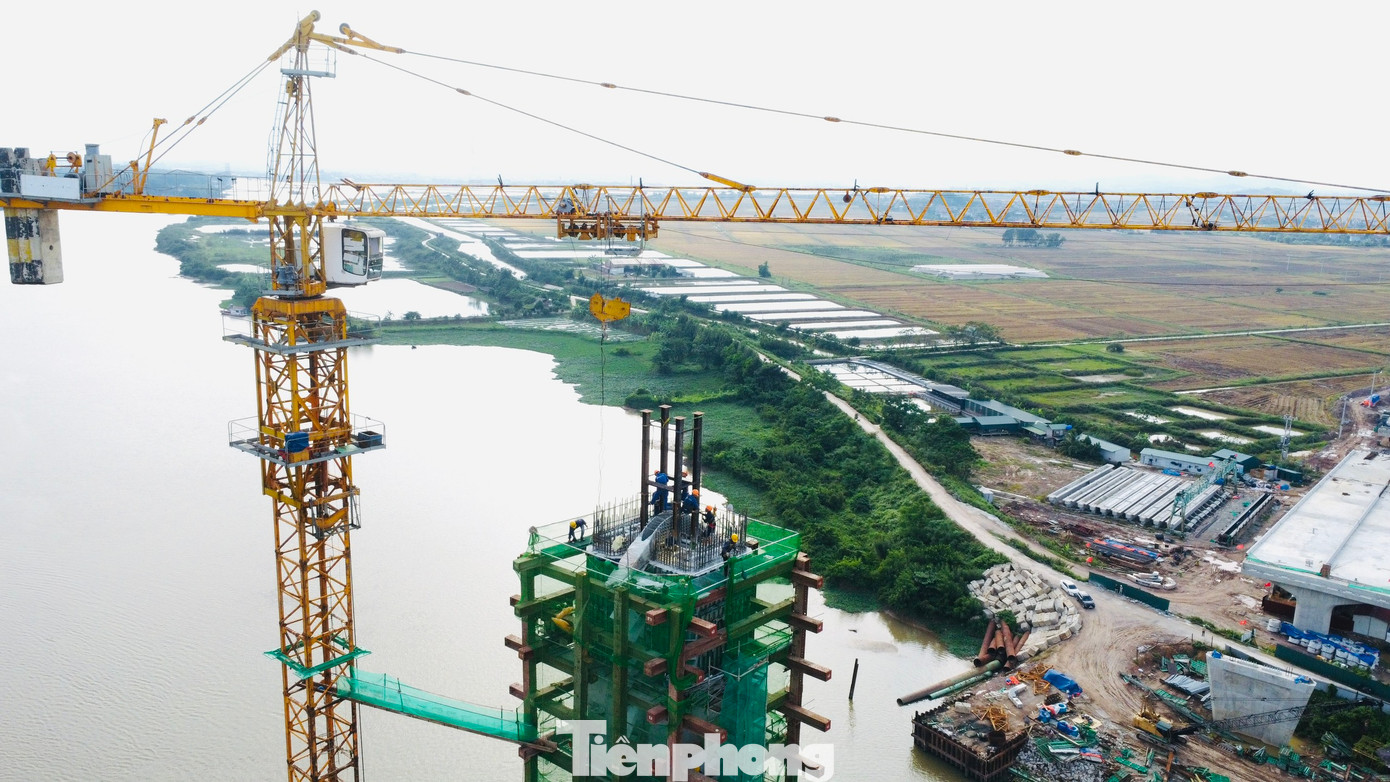 Cầu Đồng Việt được xây dựng mới với quy mô công trình cầu vĩnh cửu bằng kết cấu bê-tông cốt thép và bê-tông cốt thép dự ứng lực. Khi hoàn thành đưa vào khai thác, cầu Đồng Việt là cầu dây văng có quy mô thuộc diện lớn và hiện đại nhất của tỉnh Bắc Giang và các tỉnh trong khu vực.