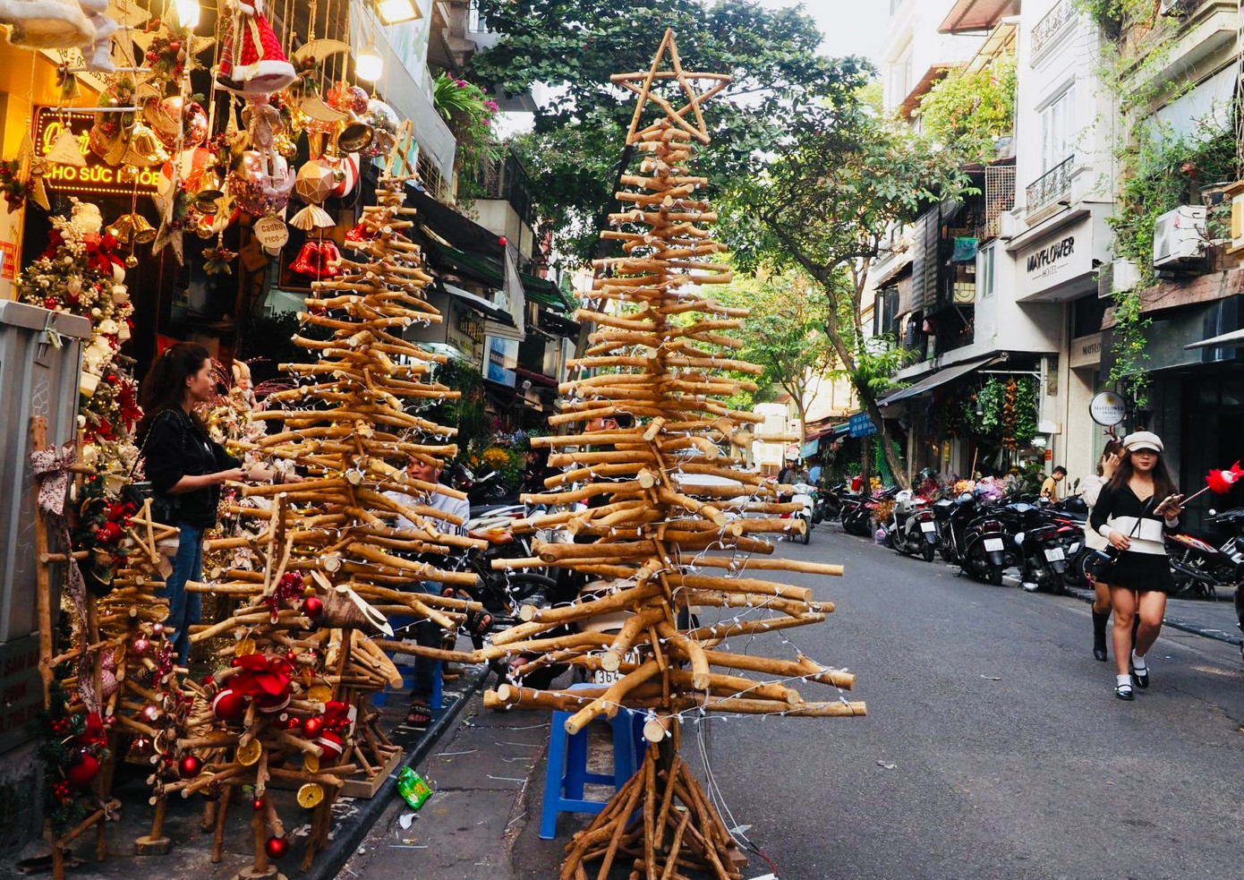 Năm nay trên phố Hàng Rươi, một chủ cửa hàng đã sử dụng thân, cành cây quế để kết thành cây thông Noel khổng lồ cao quá đầu người khiến ai đi qua cũng phải dừng lại trầm trồ khen ngợi, hít hà hương thơm của quế... Chủ cửa hàng chia sẻ: "Để làm ra cây thông đặc biệt này tốn khá nhiều thời gian, chi phí vào khoảng 15 triệu cho một cây tùy vào chiều cao và phụ kiện trang trí kèm theo".