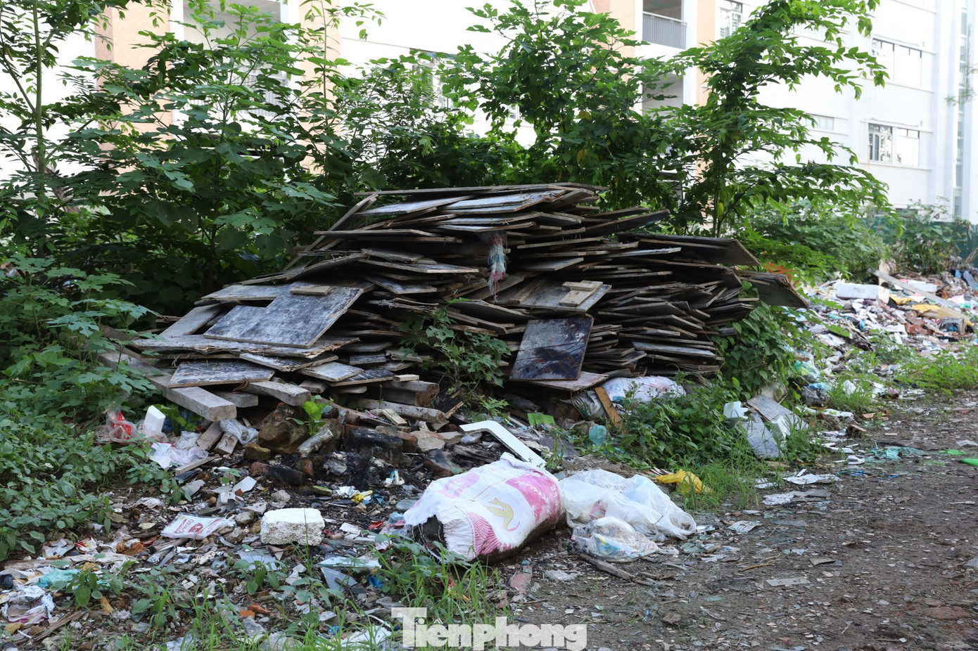 Được biết việc đổ trộm rác thải tại con ngõ này đã diễn ra cả chục năm nay nhưng chưa được giải quyết triệt để.