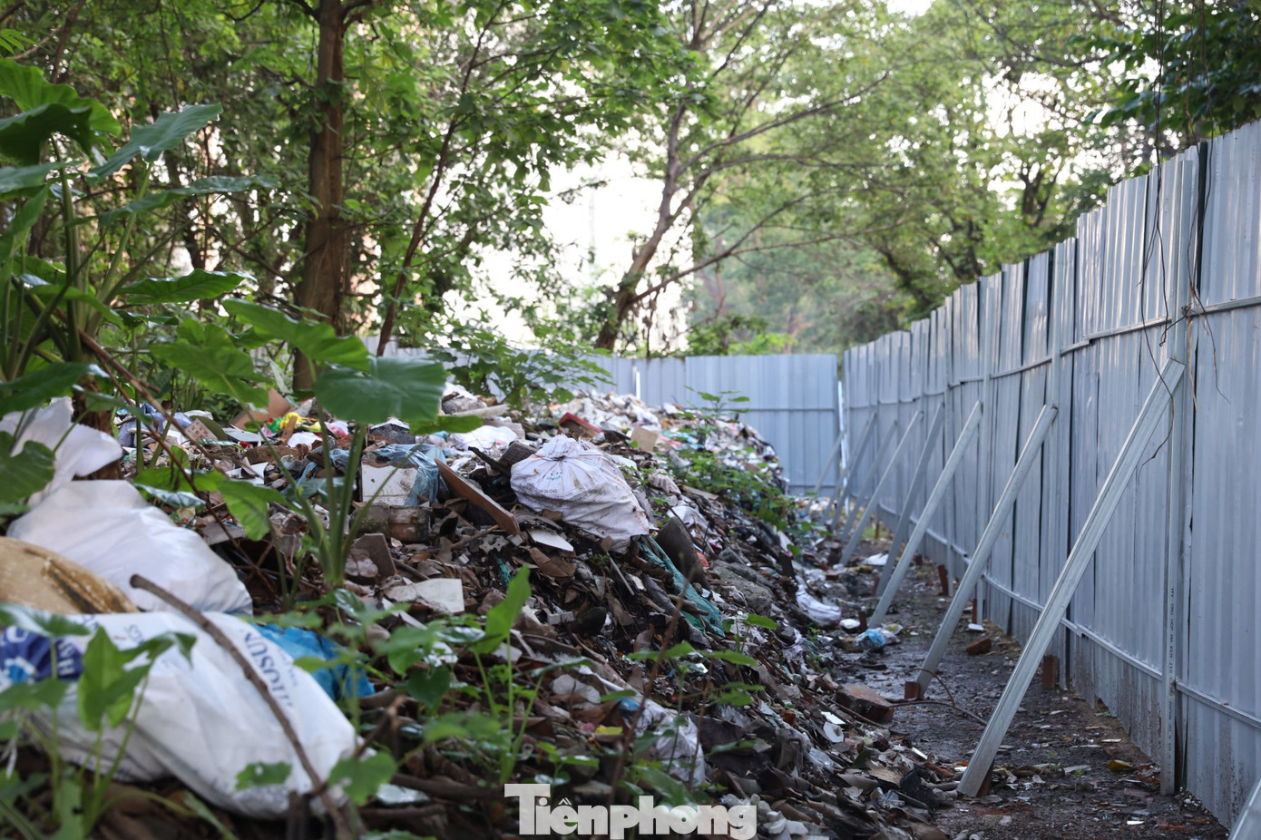 Theo ghi nhận của PV báo Tiền Phong, điểm cuối ngõ 146 Định Công Hạ là nghĩa trang và từ lâu cũng thành nơi tập kết rác thải nhiều nhất từ lâu.