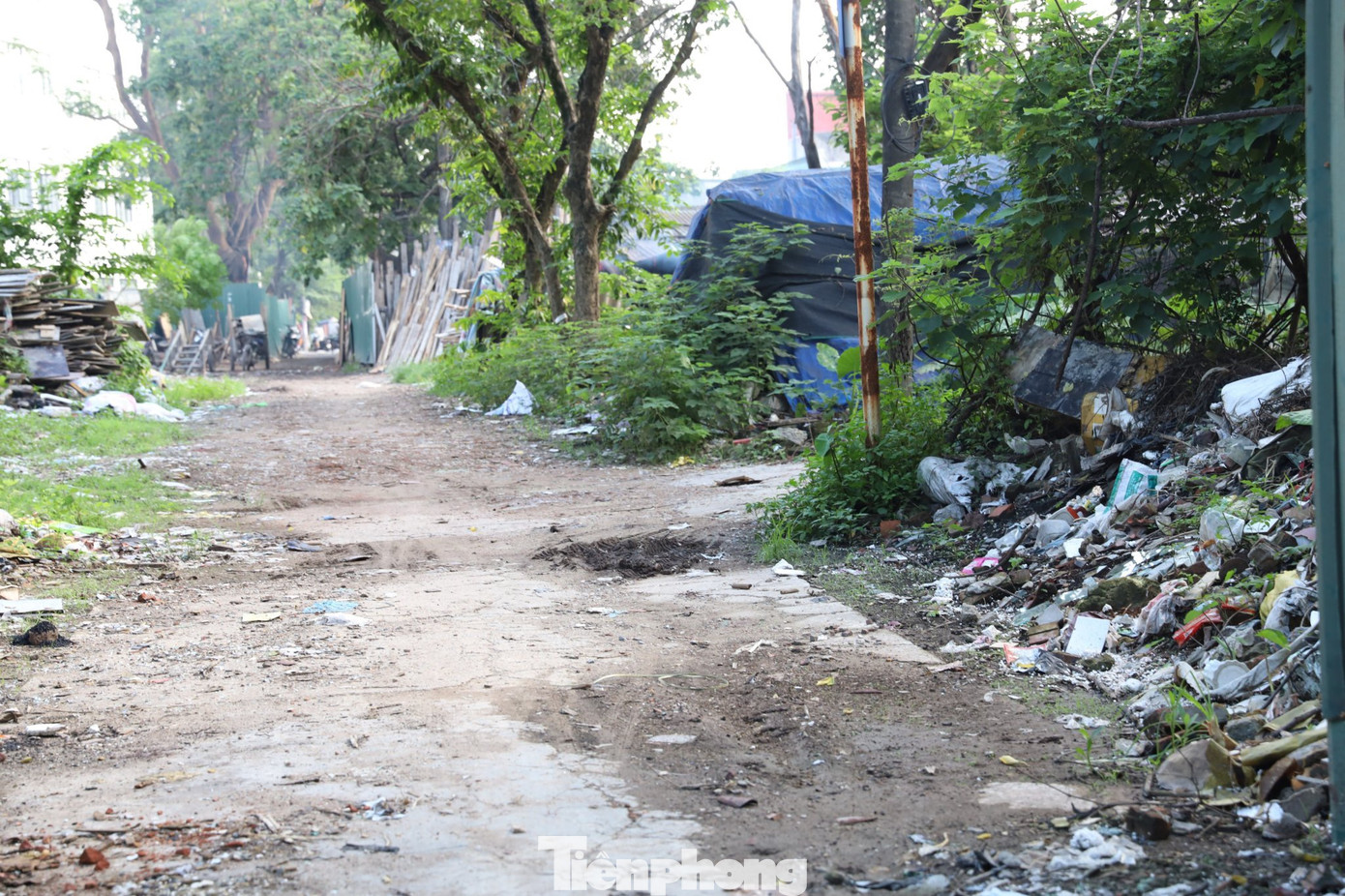Những ngày mưa lớn, nắng nóng mùi rác bốc lên khó chịu, cuộc sống của người dân trong con ngõ bị ảnh hưởng nặng nề.