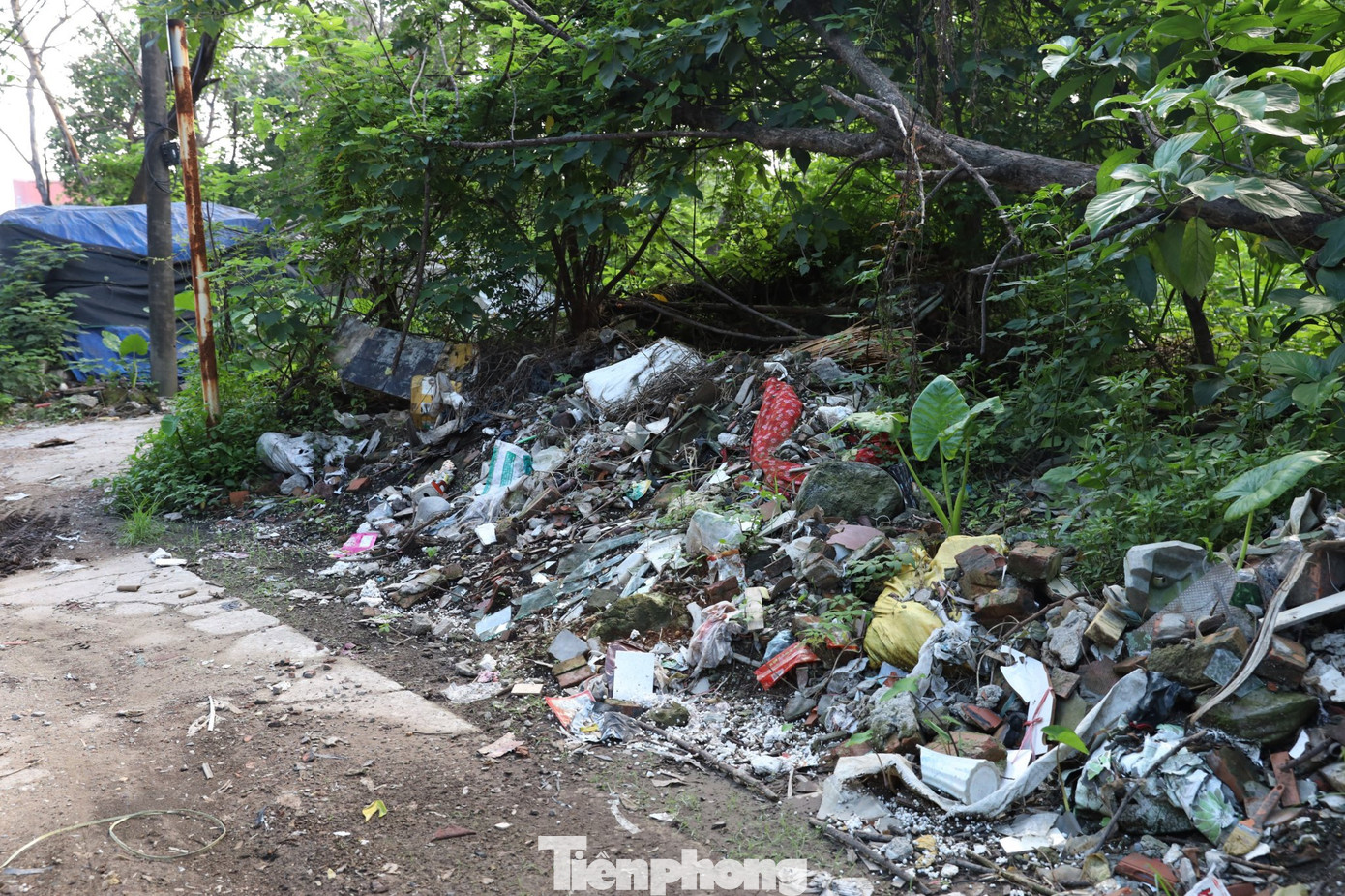 Việc đổ trộm rác thải này thường diễn ra vào đêm khuya nên người dân trong ngõ và chính quyền địa phương rất khó kiểm soát, xử lý và ngăn chặn triệt để.