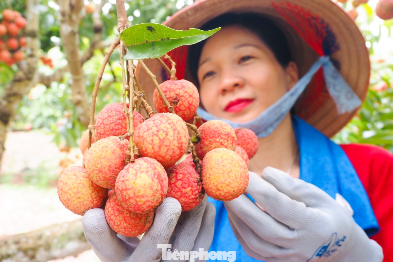 UBND huyện Lục Ngạn đã tổ chức chương trình du lịch “Lục Ngạn mùa vải chín” với chủ đề “Tinh hoa trái cây Việt - Đặc sản Việt Nam đạt kỷ lục châu Á” với nhiều hoạt động phong phú, đa dạng nhằm giới thiệu, quảng bá cho du khách hình ảnh vùng đất, con người Lục Ngạn đến đông đảo các tầng lớp nhân dân, du khách.