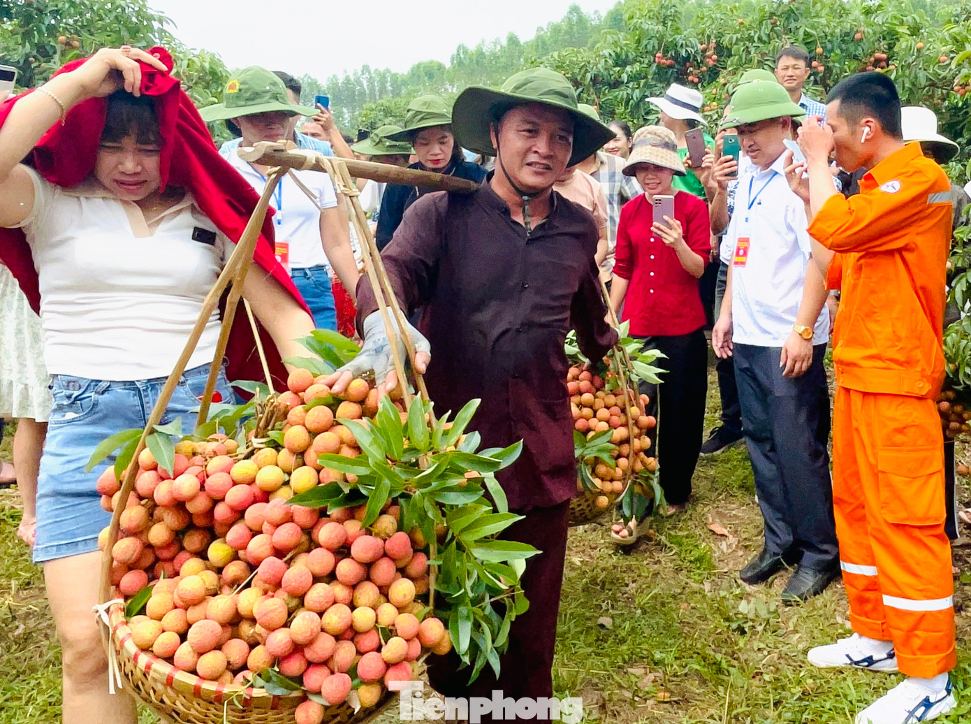 Trái vải của Lục Ngạn có chất lượng vượt trội, vị thế thương hiệu của sản phẩm vải thiều Lục Ngạn đã được khẳng định không chỉ ở thị trường trong nước mà ở hầu khắp các thị trường lớn khó tính như Nhật Bản, EU, Hoa Kỳ, Úc, Trung Quốc.