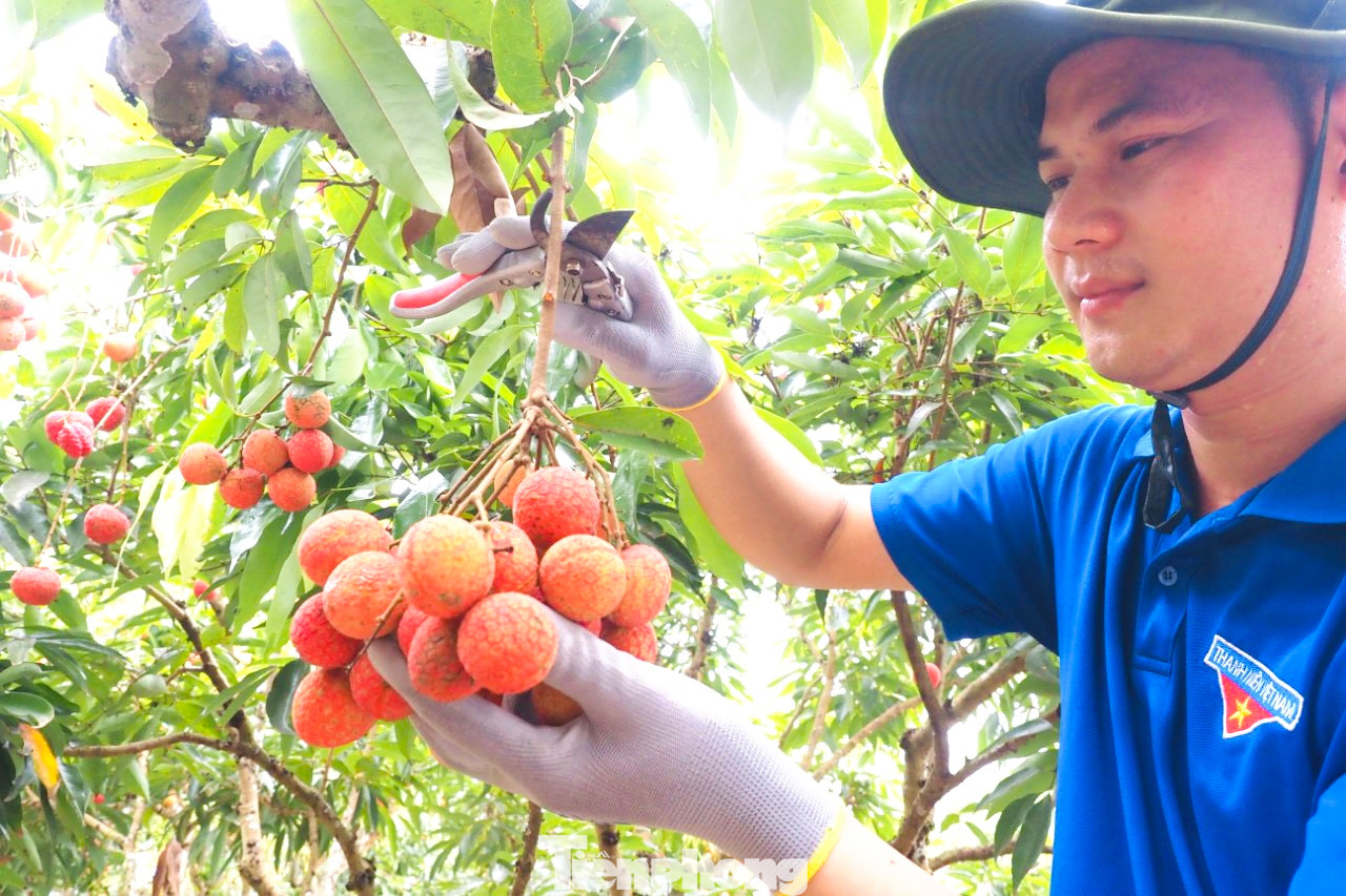 Đồng thời, góp phần bảo tồn những nét văn hóa truyền thống, phát triển kinh tế nông nghiệp gắn với phát triển du lịch xanh và bền vững.