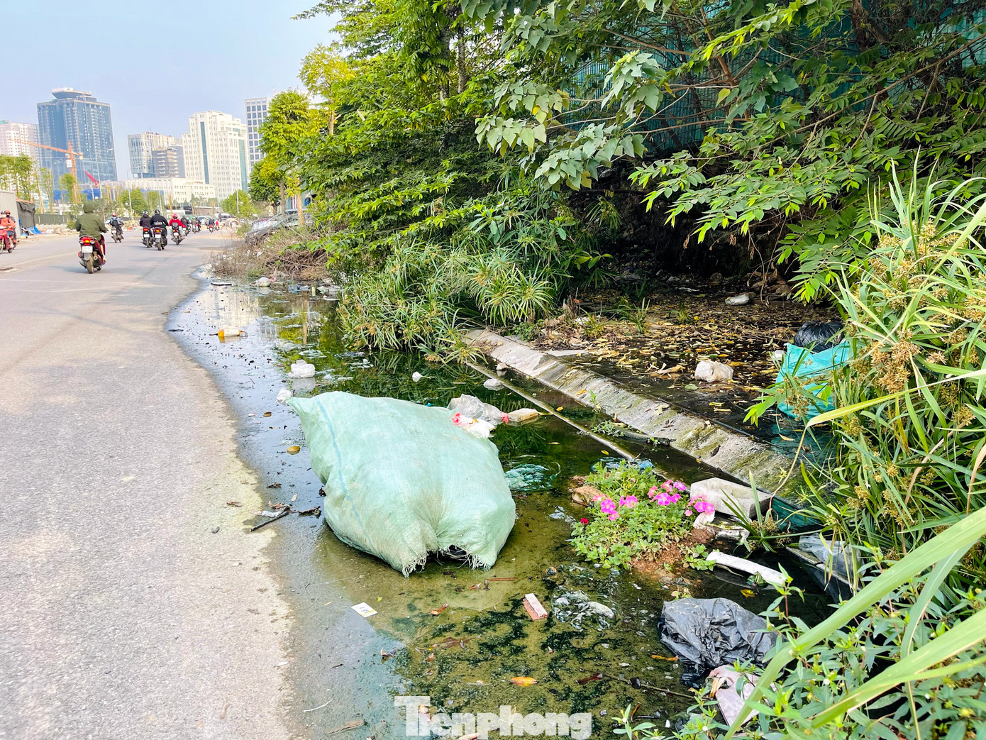 Nước thải cũng như mưa đọng lâu ngày tạo nên sự ô nhiễm nghiêm trọng.