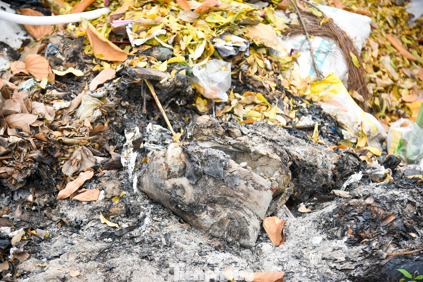 Nhiều thời điểm một số người còn tiến hành đốt rác làm khói mù mịt, gây ô nhiễm môi trường trầm trọng.