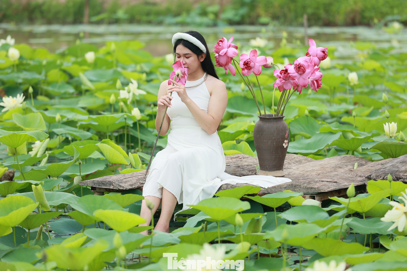 Hoa sen chính là biểu tượng của sự trong sáng, thanh cao, mạnh mẽ. Đồng thời hoa sen còn là biểu tượng của tín ngưỡng Phật giáo.