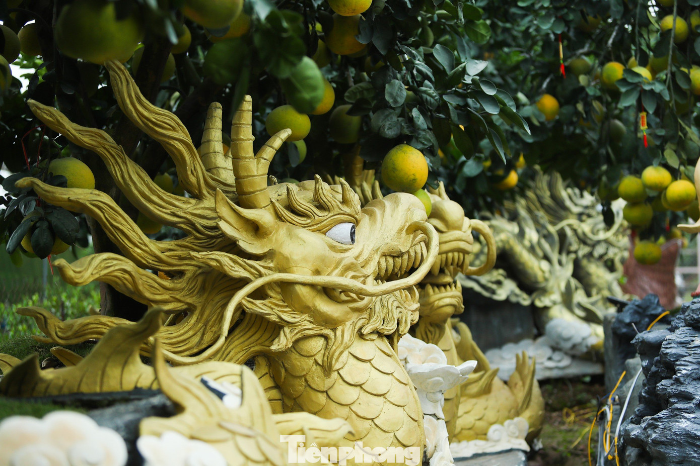 Nhiều nhà vườn còn sáng tạo các sản phẩm độc lạ, thu hút người chơi. Trong ảnh là chậu cây bưởi cảnh đắp linh vật Rồng bằng xi măng, tương ứng với năm Giáp Thìn.