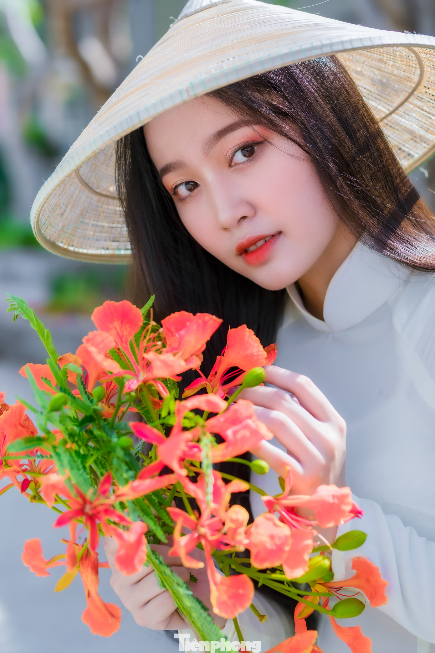 Mỗi khi hoa nở như báo hiệu đã kết thúc một năm học và các bạn học sinh, sinh viên sẽ bước vào kỳ nghỉ hè.