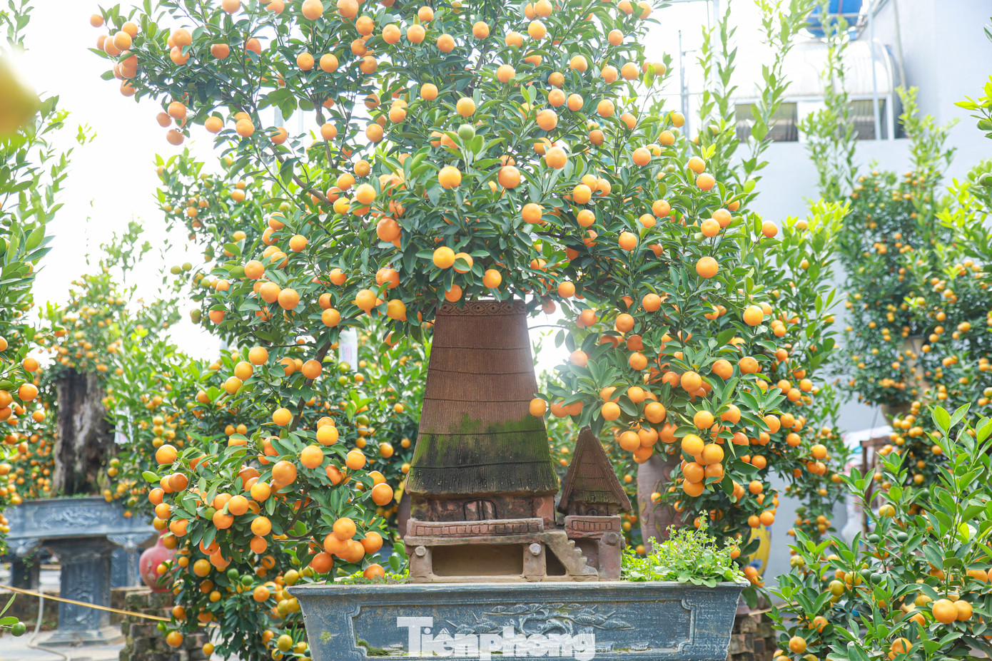 Kiểu dáng, mẫu mã đa dạng đáp ứng mọi nhu cầu của khách hàng.