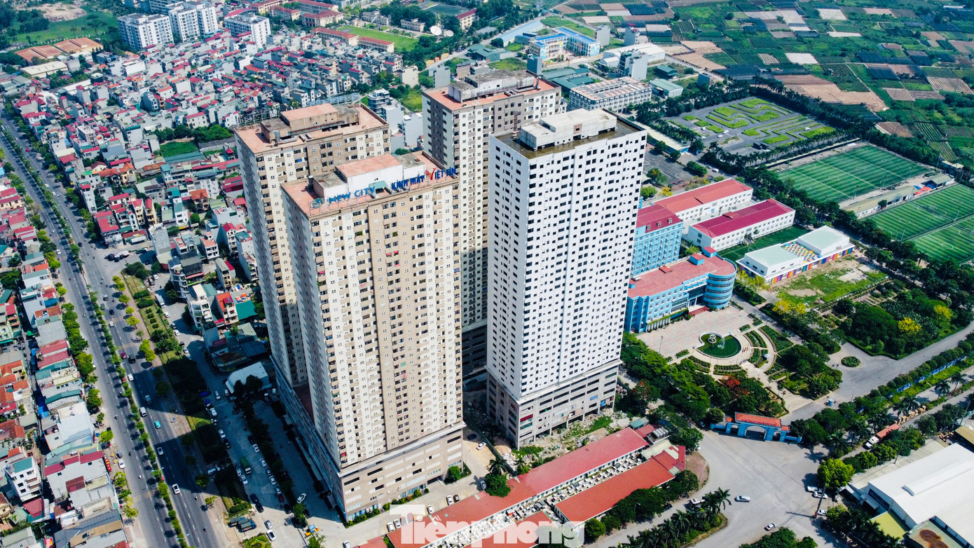 Dự án có quy mô gồm 4 khối nhà 35 tầng nổi do Công ty TNHH bánh kẹo Thăng Long làm chủ đầu tư. Dự án có tổng số 1.496 căn hộ, trong đó có 264 căn bán thương mại; 911 căn hộ nhà ở xã hội để bán và 312 căn hộ nhà ở xã hội để cho thuê.