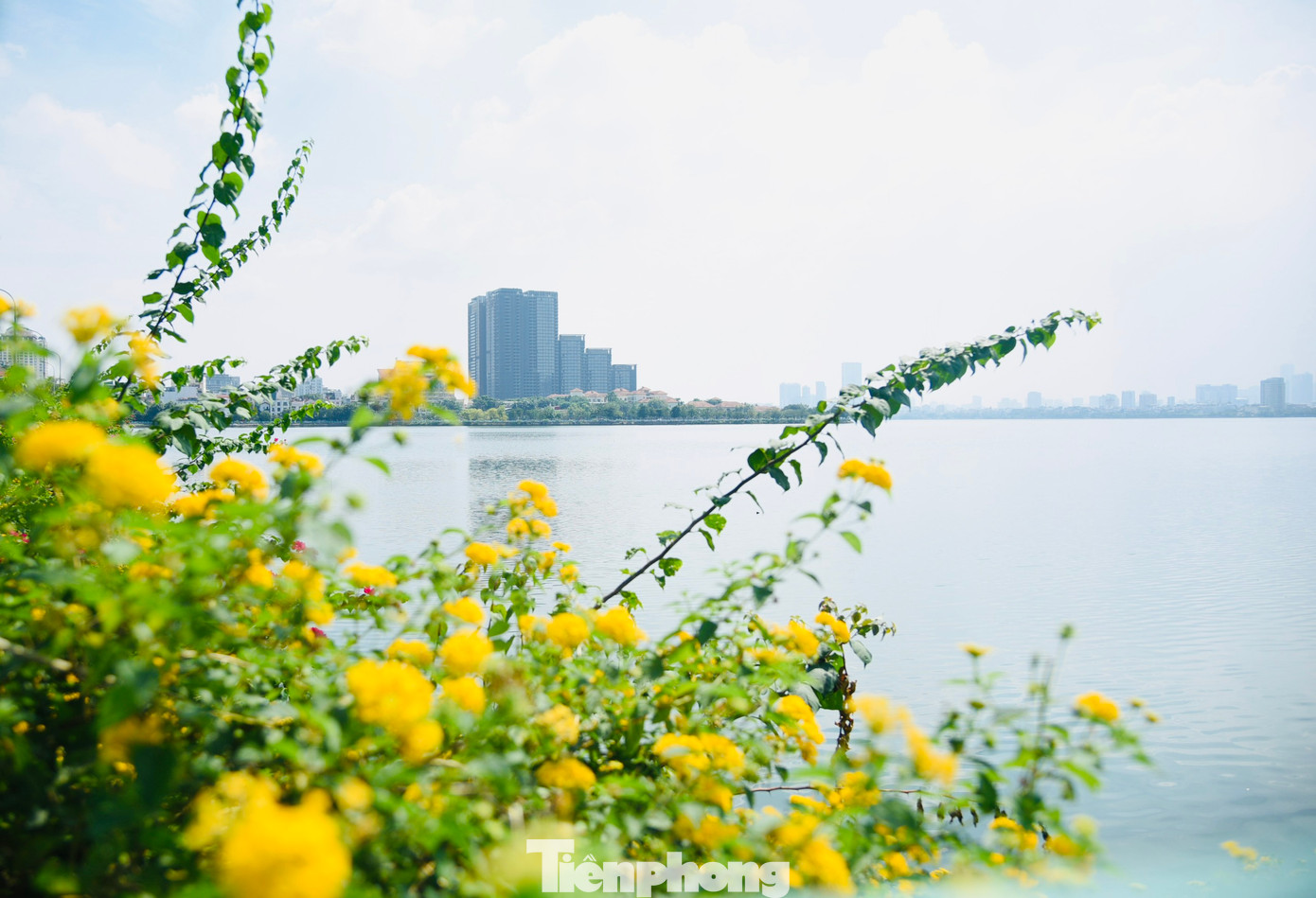 Ngày 13/7, du thuyền cuối cùng chính thức được di dời khỏi trên mặt hồ. Hiện tại, mặt hồ Tây khu vực Đầm Bảy trước đây từng là nơi neo đậu của các du thuyền bỏ hoang, đến nay đã trở nên thoáng đãng hơn.