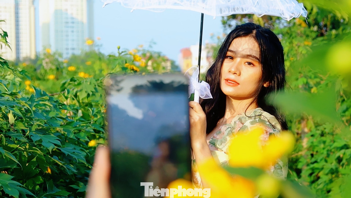 Dù tiết trời se lạnh nhưng có nắng vàng, các bạn trẻ vẫn thỏa sức tạo dáng với dã quỳ.