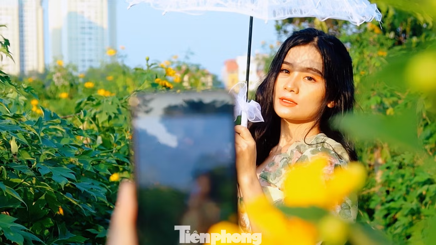Dù tiết trời se lạnh nhưng có nắng vàng, các bạn trẻ vẫn thỏa sức tạo dáng với dã quỳ.