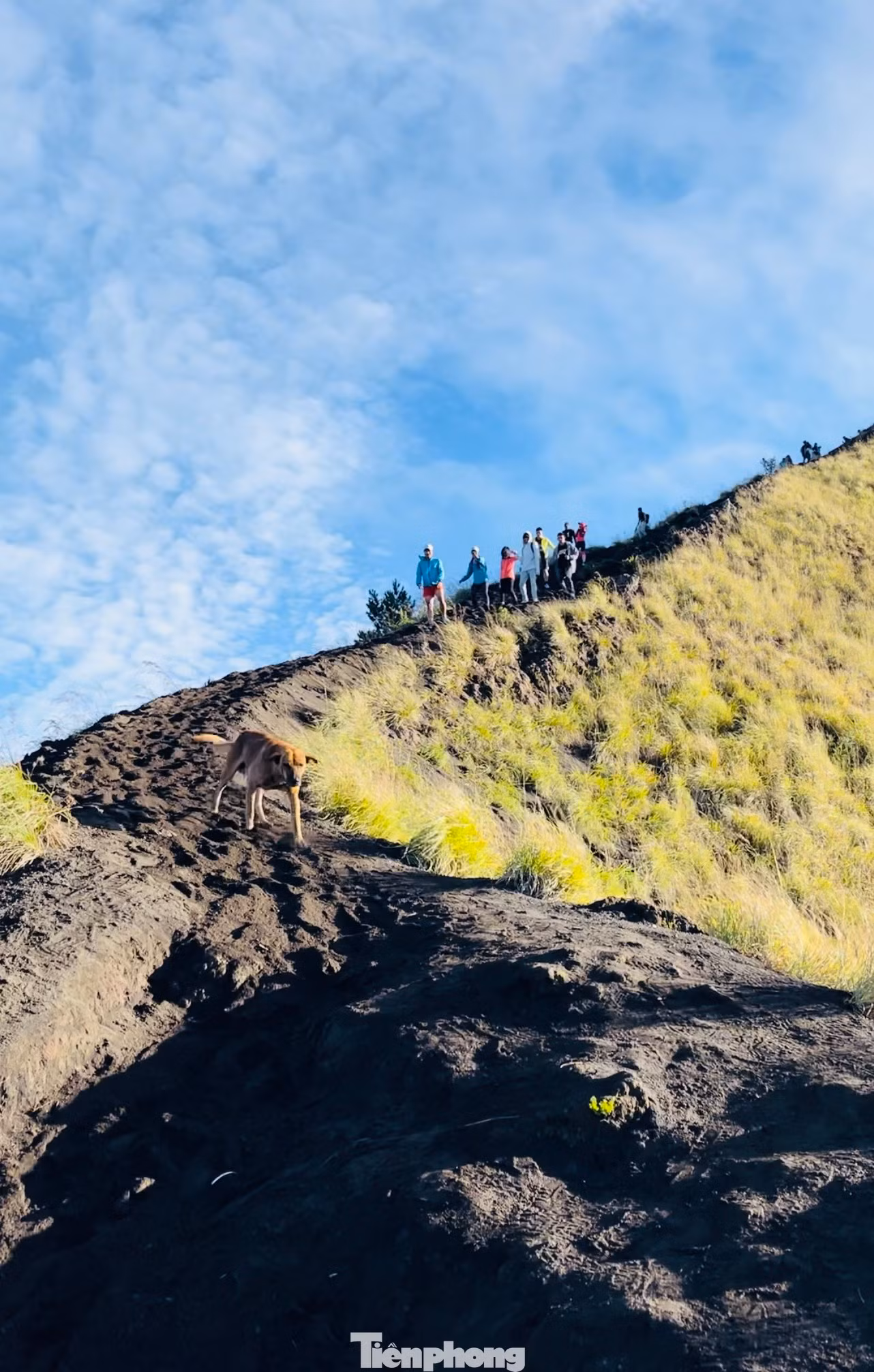 Hành trình trekking chỉ kéo dài 5km nhưng không dễ dàng vì độ dốc khá cao. Trung bình mỗi du khách sẽ mất từ 3-4 tiếng để lên đến đỉnh núi.