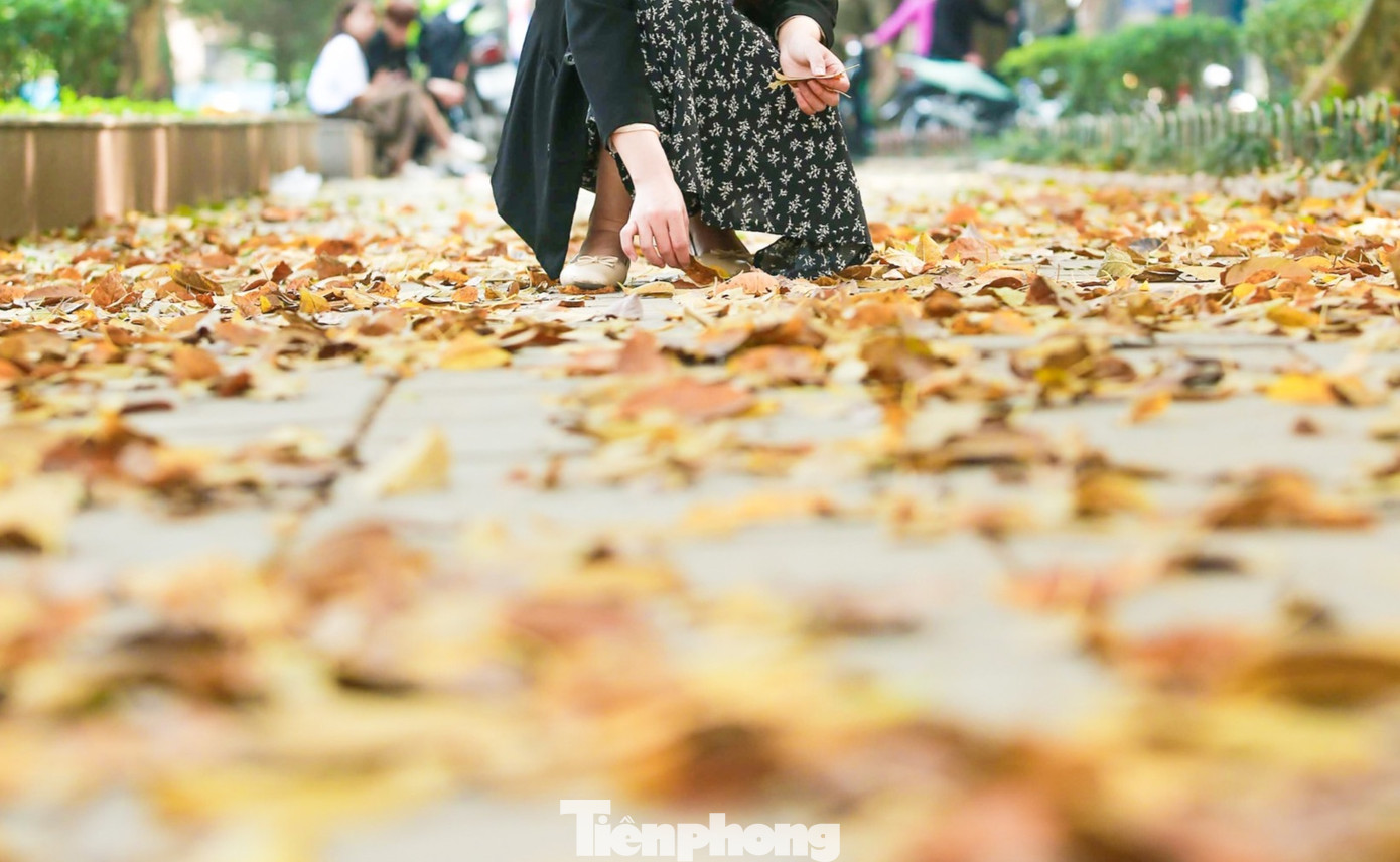 Những chiếc lá vàng rơi khắp phố đã thu hút rất nhiều các bạn trẻ kéo tới chụp ảnh...