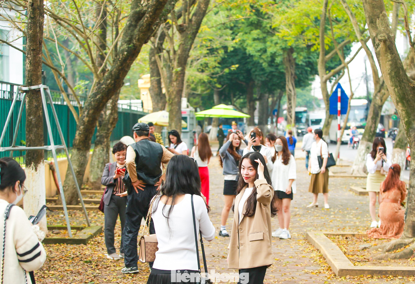 Ngay sau khi những hình ảnh về thảm lá vàng ươm tuyệt đẹp được chia sẻ trên mạng xã hội, nơi đây đã trở nên tấp nập.