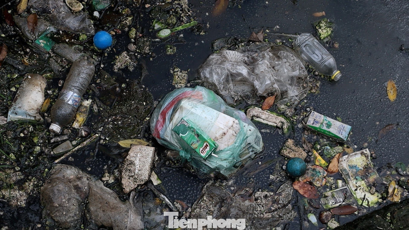 Vào mùa nóng bức, con mương không chỉ gây ô nhiễm nặng nề mà còn là môi trường lý tưởng cho các loại côn trùng có hại sinh sôi, phát triển, tiềm ẩn nguy cơ lớn gây ra các bệnh truyền nhiễm.