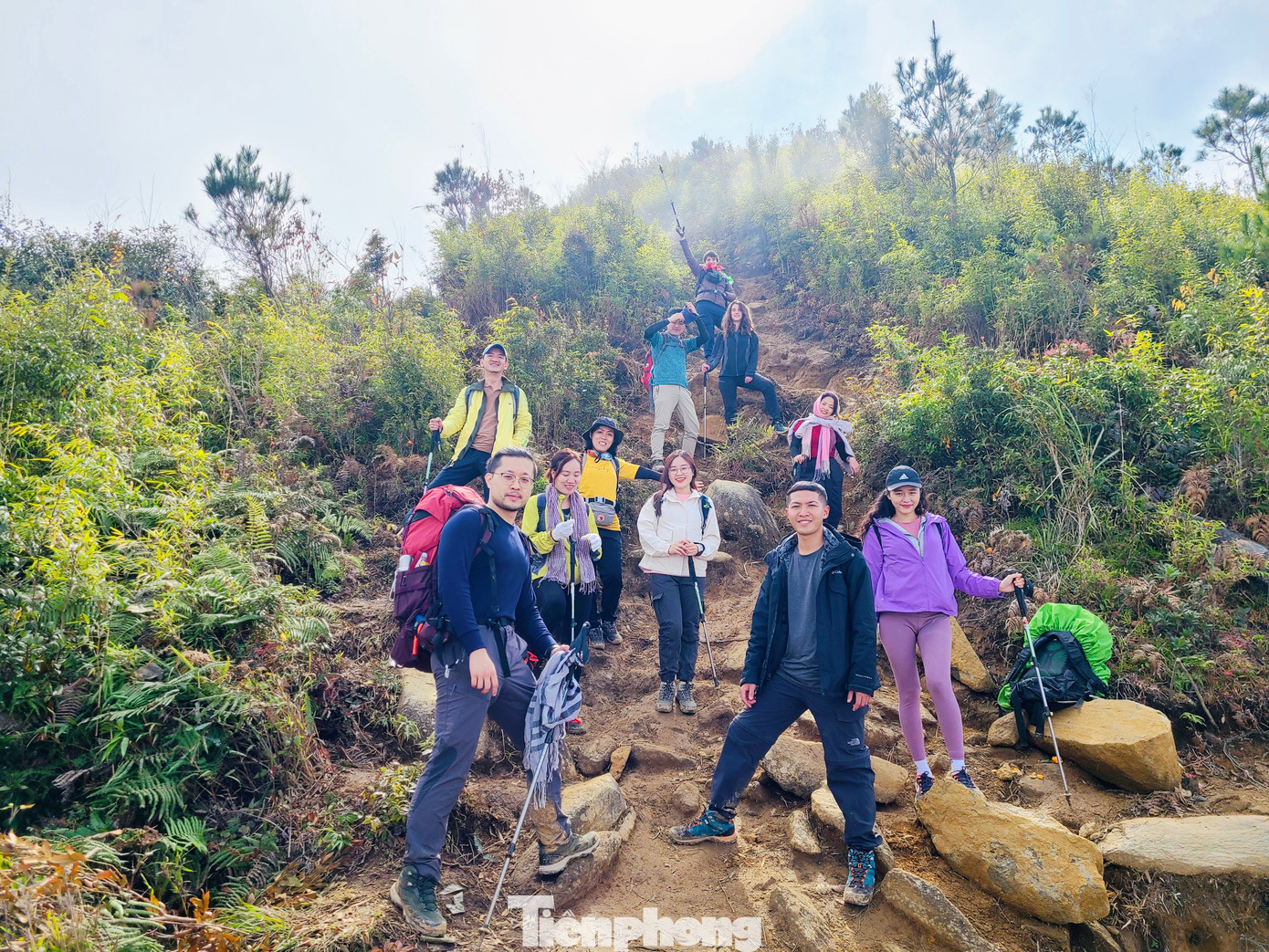 Khu rừng nguyên sinh Tà Xùa trải dài từ độ cao khoảng 2.600 m lên đến tận đỉnh cao nhất của núi Tà Xùa, khoác lên mình vẻ đẹp hoang sơ, kỳ bí..