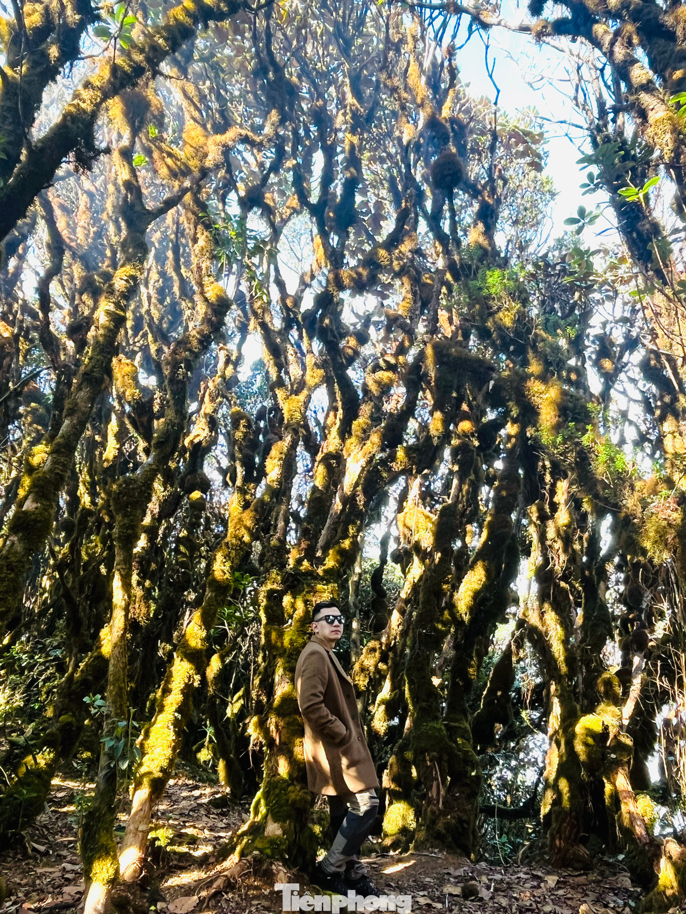 Nhiều bạn trẻ chuẩn bị những trang phục ấn tượng nhất để chụp hình với khu rừng rêu nguyên sinh độc đáo này.