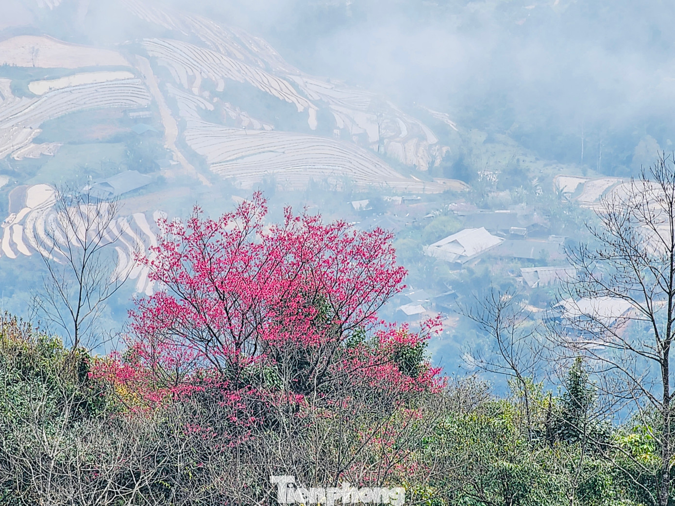 Du khách đi hết từ ngỡ ngàng ngàng này đến ngạc nhiên khác trên cung đường săn mây với vẻ đẹp sửng sốt của khu rừng nguyên sinh.