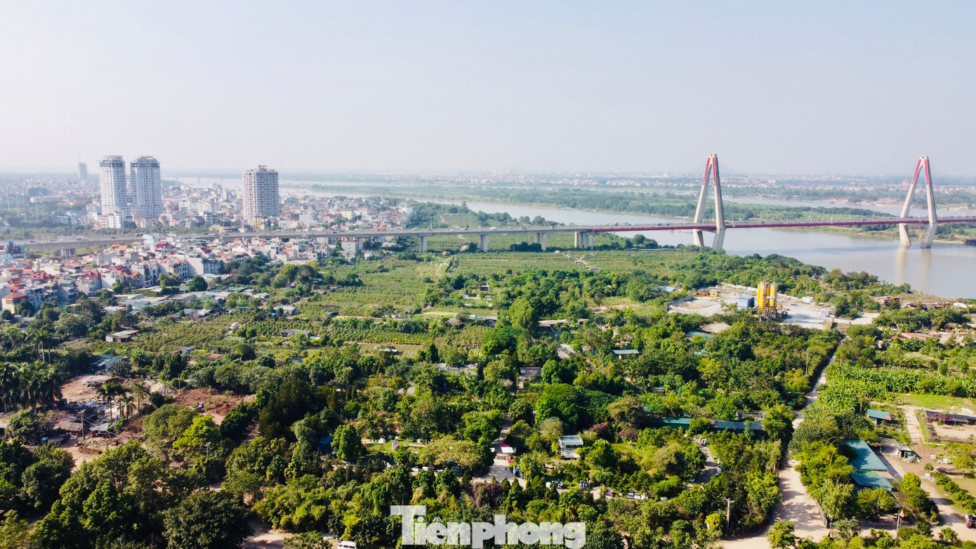 Cứ gần cuối năm, không khí tại các vườn đào Nhật Tân (Tây Hồ, Hà Nội) lại hết sức sôi động. Cứ gần cuối năm, không khí tại các vườn đào Nhật Tân (Tây Hồ, Hà Nội) lại hết sức sôi động.