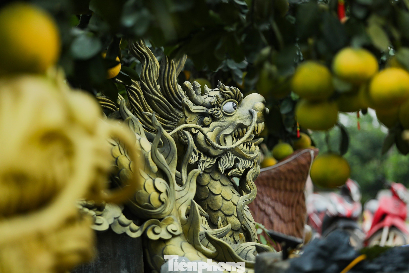 Để tạo ra những sản phẩm độc đáo này, những nghệ nhân làm vườn ở đây đã dày công sức mày mò sáng tạo cho ra những chậu cây bưởi cảnh độc đáo, khác lạ để có sức hấp dẫn đặc biệt với người chơi.