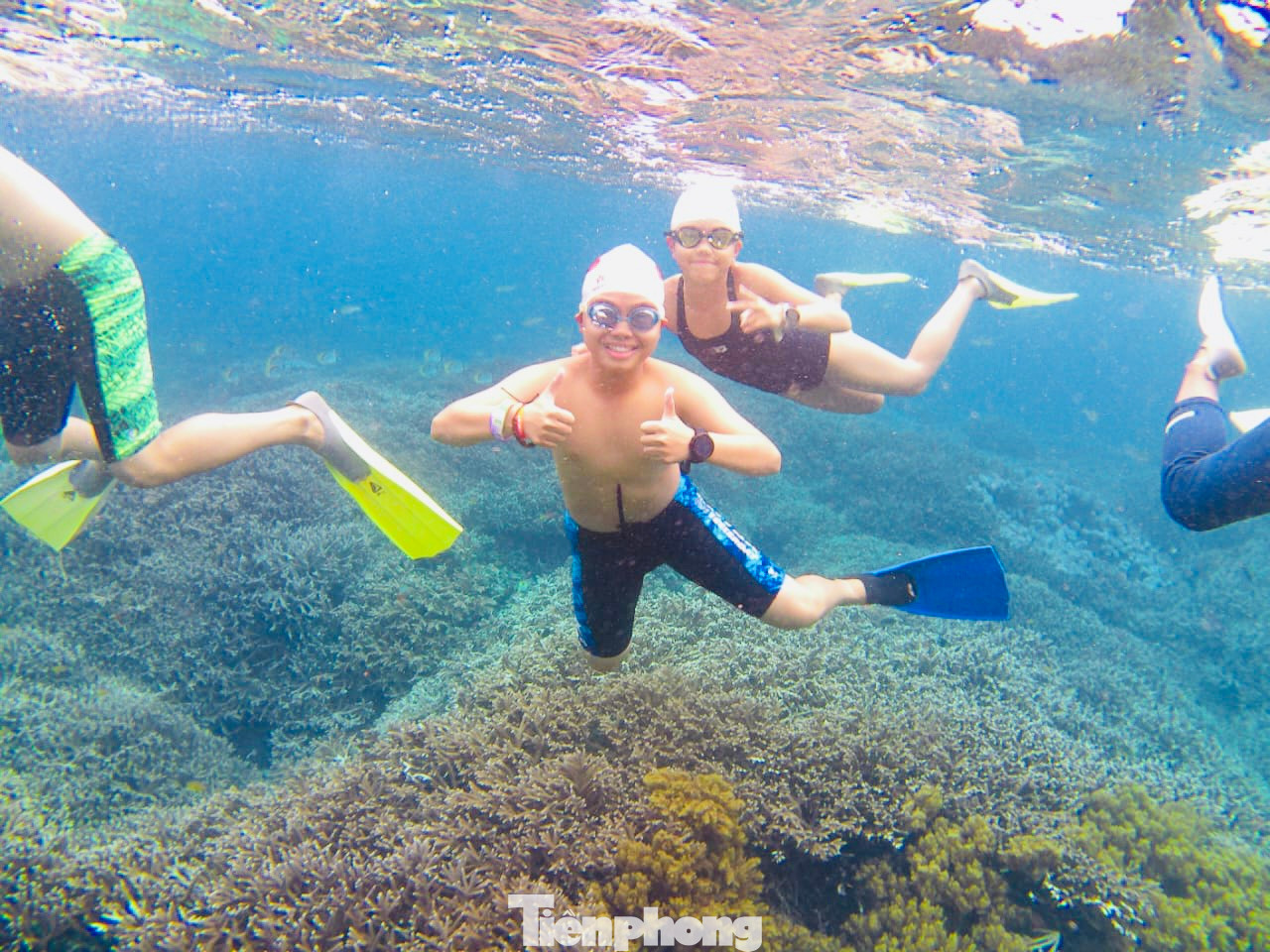 Nước biển Bali xanh trong vắt nhìn thấy cả bạt ngàn san hô với đủ loại màu sắc, hình thể. Lặn biển ngắm san hô là một trải nghiệm ấn tượng với du khách.