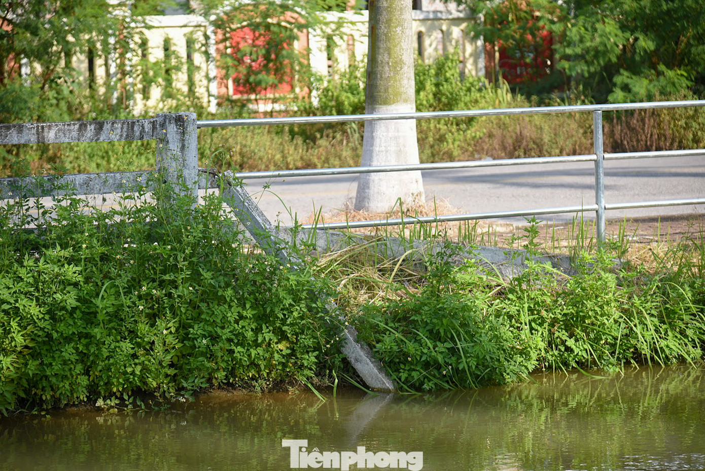 Dọc theo kênh mương Đan Hoài xuất hiện rất nhiều các điểm tập kết rác thải gây mất mỹ quan, ô nhiễm.