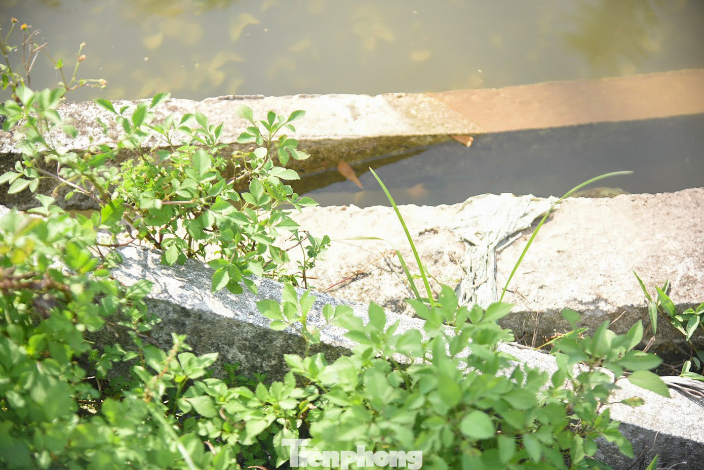 Theo ghi nhận của PV Tiền Phong, hiện tại trên kênh mương Đan Hoài chảy qua xã Hạ Mỗ có nhiều vị trí hư hỏng, trong đó 1 số đoạn lan can đã bị đứt gãy, thậm chí đổ hẳn xuống lòng mương.