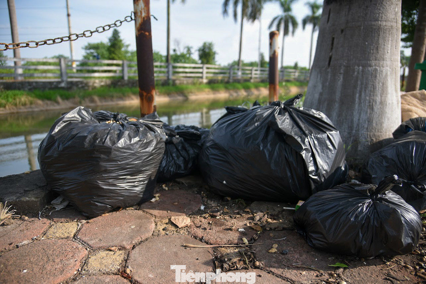 Dọc theo kênh mương Đan Hoài xuất hiện rất nhiều các điểm tập kết rác thải gây mất mỹ quan, ô nhiễm.