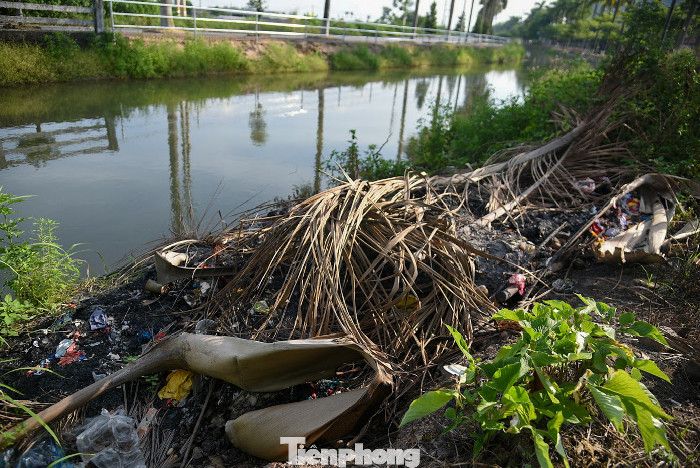 Dọc theo kênh mương Đan Hoài xuất hiện rất nhiều các điểm tập kết rác thải gây mất mỹ quan, ô nhiễm.