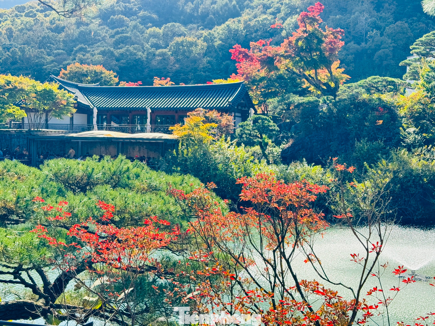 Rừng có diện tích rộng hơn 1.300 ha, với hơn 4.300 loài thực vật, bao gồm nhiều loài cây quý hiếm.