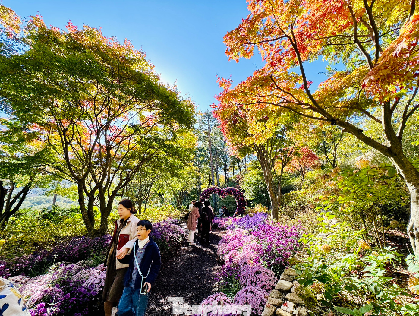 Khung cảnh nhiều màu sắc của cây cỏ và hoa lá.