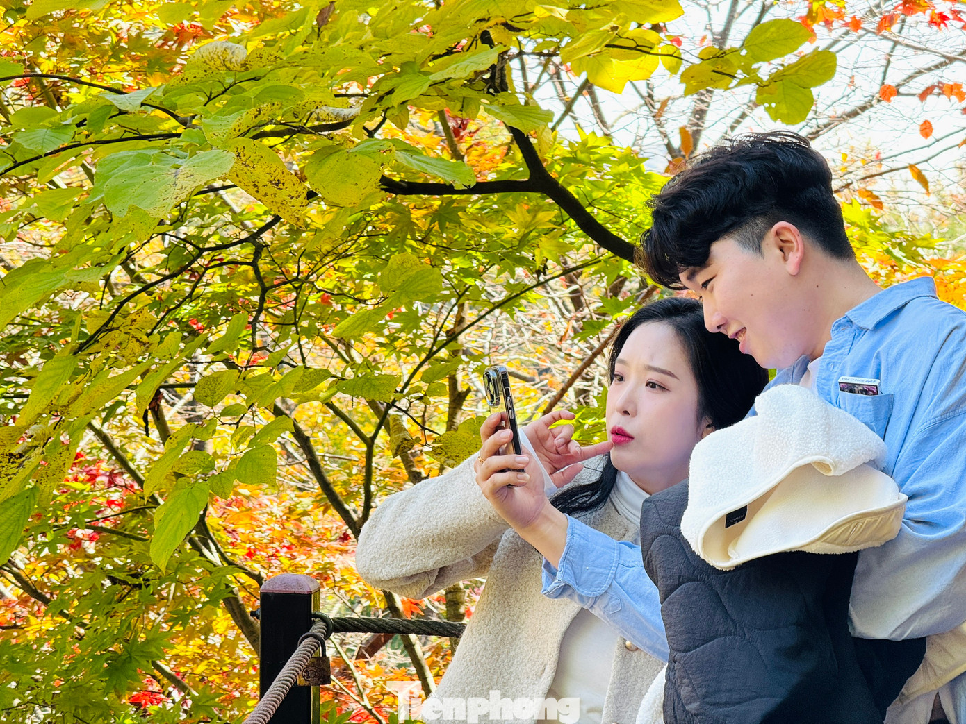 Các gia đình, cặp đôi thoải mái chụp ảnh check-in lưu giữ những khoảnh khắc tuyệt đẹp dưới tán lá.