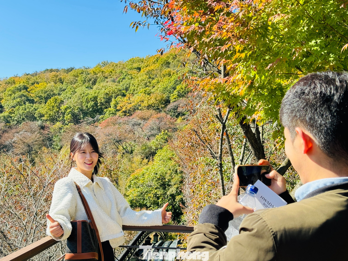 Các gia đình, cặp đôi thoải mái chụp ảnh check-in lưu giữ những khoảnh khắc tuyệt đẹp dưới tán lá.