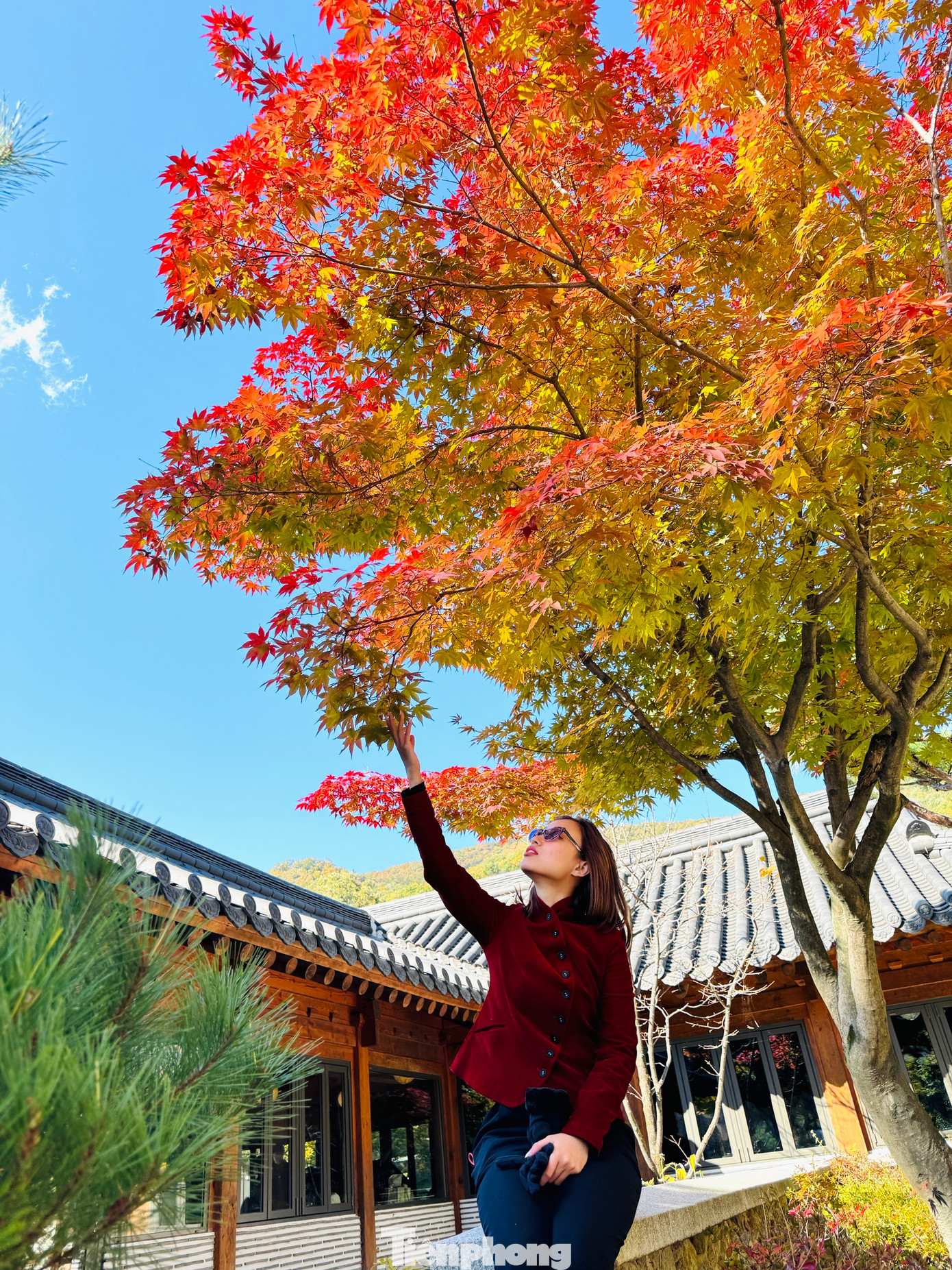 Bạn Vân Anh du khách đến từ Việt Nam chia sẻ: "Lần đầu tiên đến với Hàn Quốc, mình đã bị cảnh sắc rực rỡ nơi đây mê hoặc, cực kỳ ấn tượng".