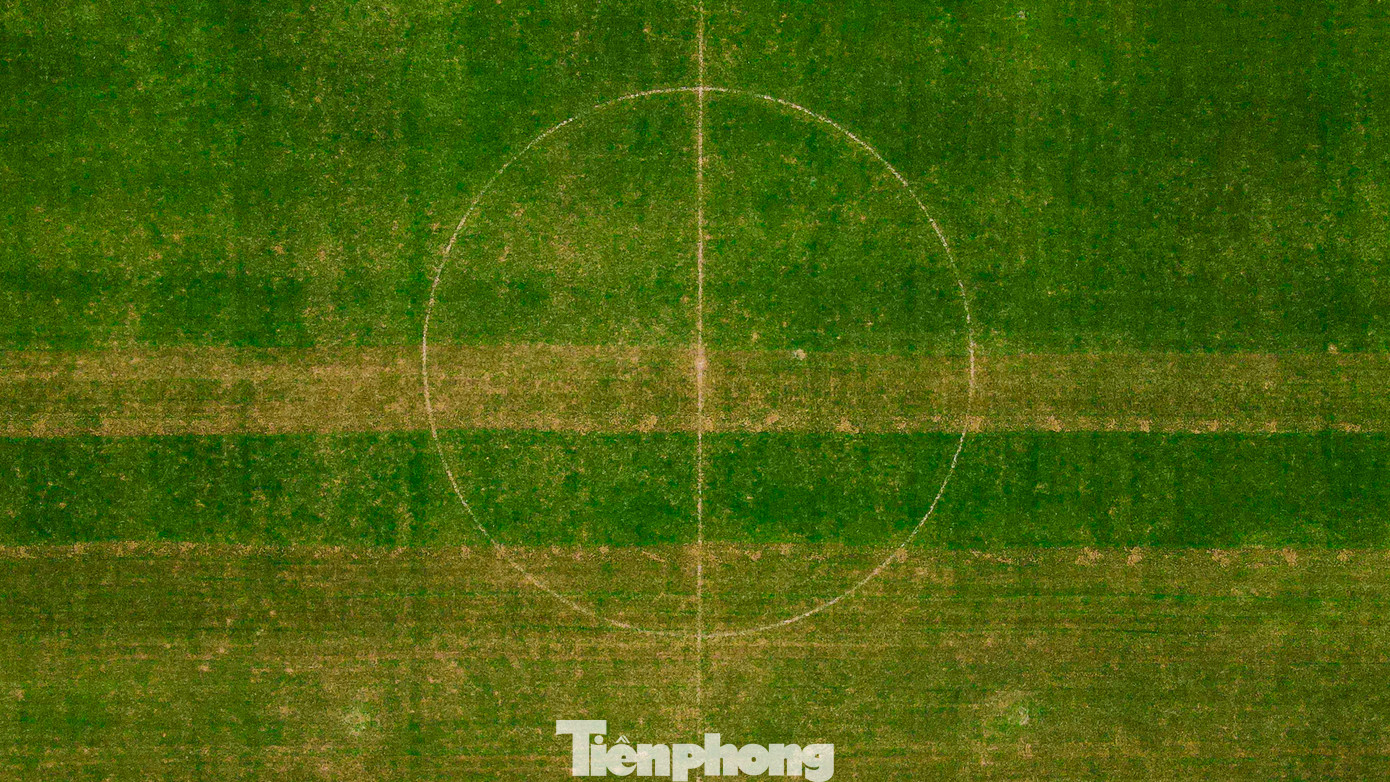 Hàng ngày, các công nhân đều dùng máy để xới cỏ, rải phân và tưới nước. Việc tưới nước luôn đảm bảo đủ nhiều cho phân bón được thẩm thấu xuống lòng đất để tiếp cho rễ cỏ.