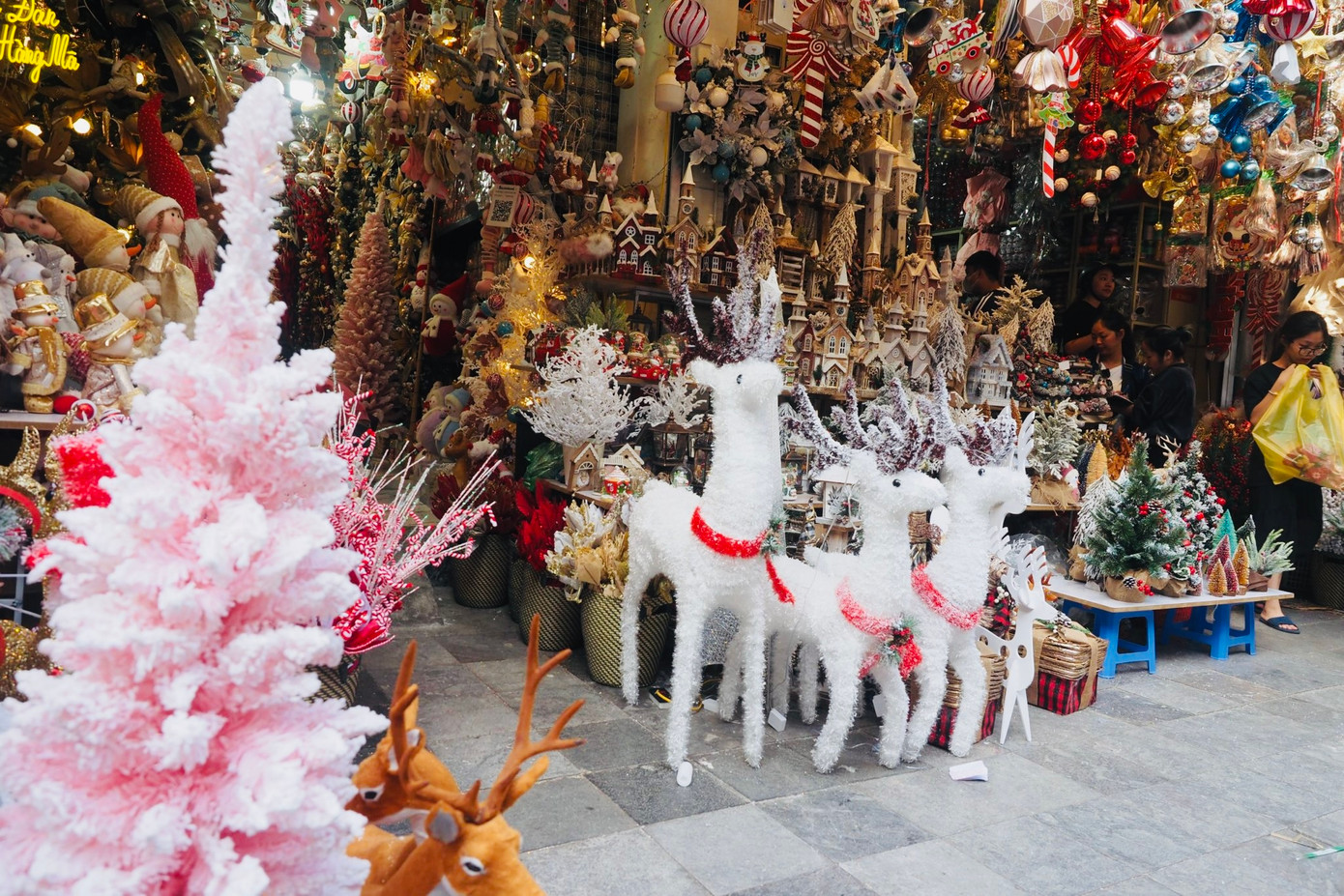 Cây thông, vòng nguyệt quế, quả cầu, ông già Noel, tuần lộc, người tuyết... thu hút sự quan tâm của người đi đường.