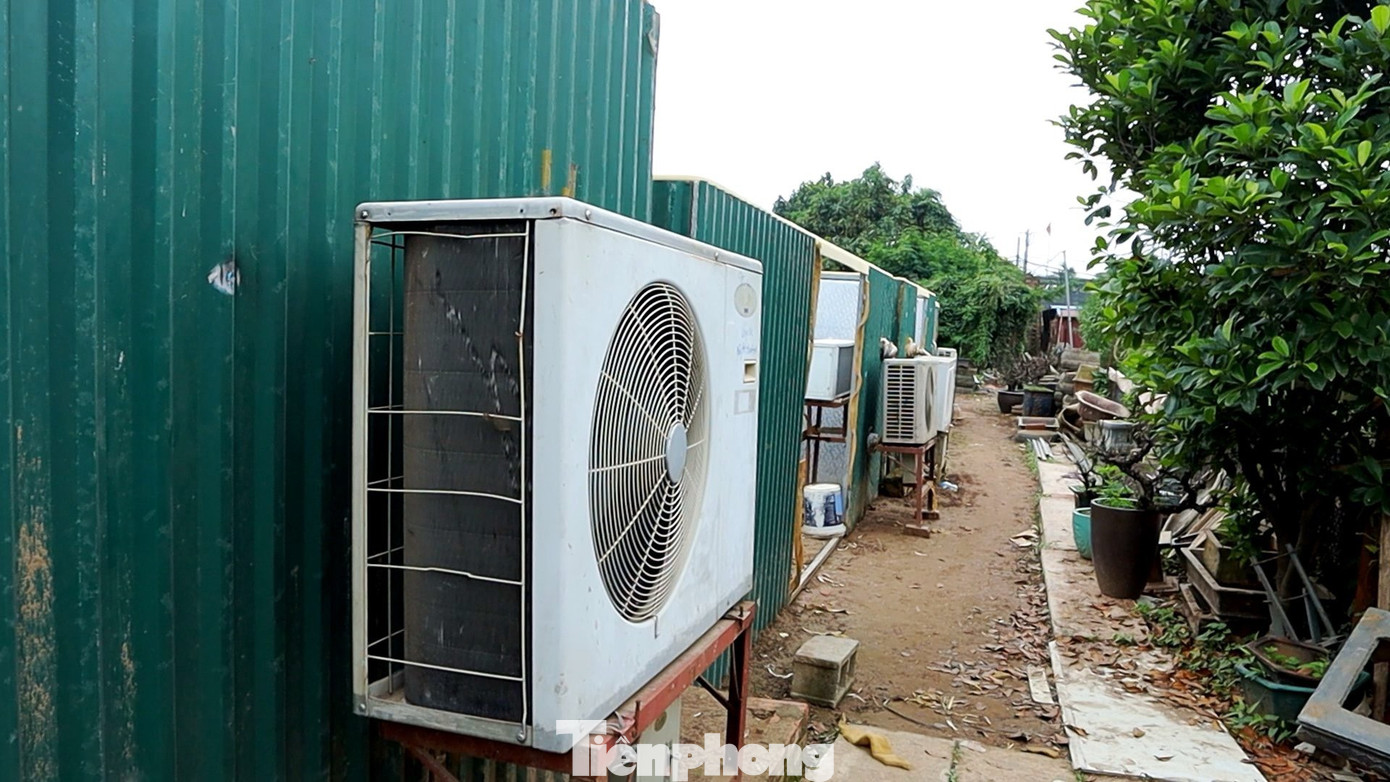 Tùy vào thời tiết mà nhà vườn sẽ điều chỉnh nhiệt độ phòng sao cho phù hợp. Nếu không, đào có thể nở hoa không đúng dịp Tết Nguyên đán.