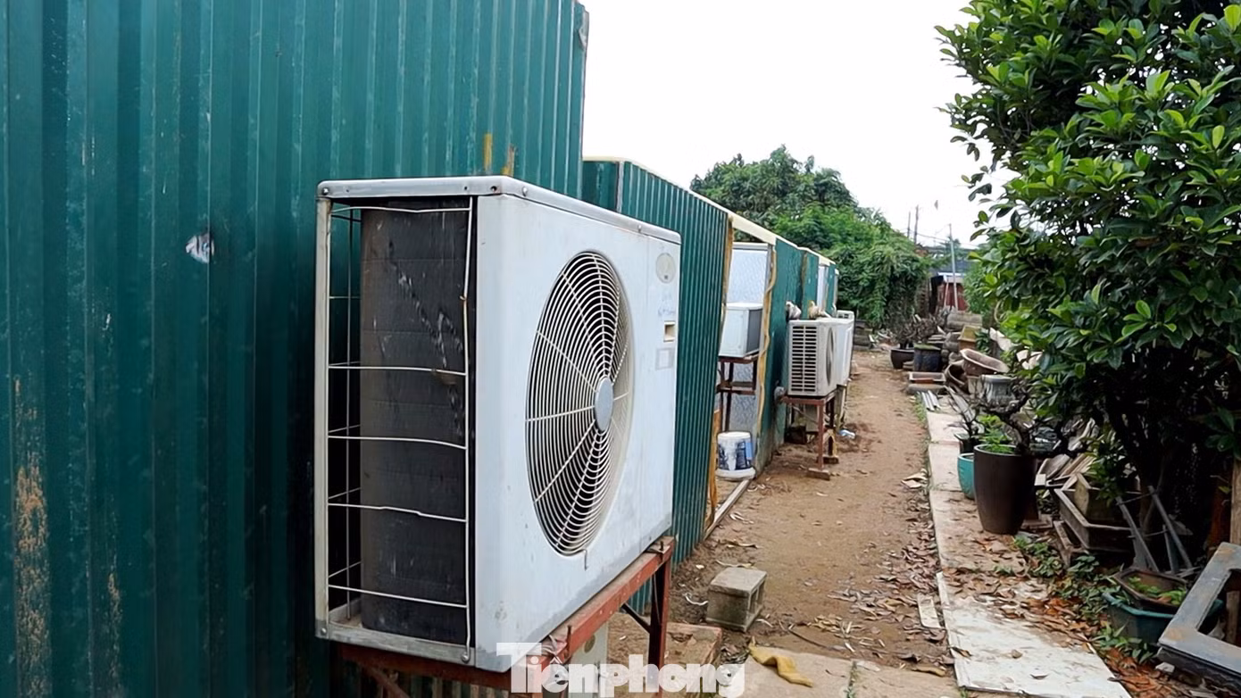 Tùy vào thời tiết mà nhà vườn sẽ điều chỉnh nhiệt độ phòng sao cho phù hợp. Nếu không, đào có thể nở hoa không đúng dịp Tết Nguyên đán.