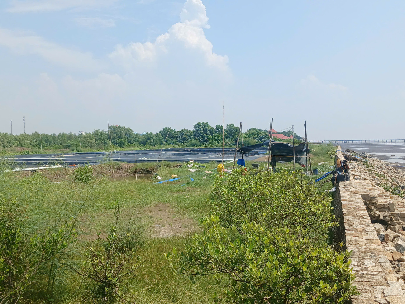 Công ty cổ phần Đầu tư Vạn Thành Công đào ao nuôi thủy sản trên diện tích đất phát triển du lịch. Ảnh: Tấn Minh. Công ty cổ phần Đầu tư Vạn Thành Công đào ao nuôi thủy sản trên diện tích đất phát triển du lịch. Ảnh: Tấn Minh.