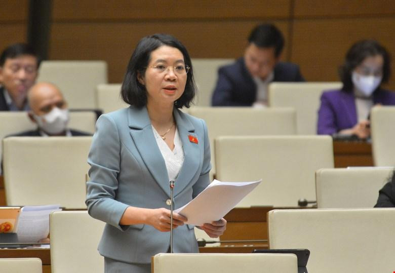 Đại biểu Quốc hội Mai Thị Phương Hoa Đại biểu Quốc hội Mai Thị Phương Hoa