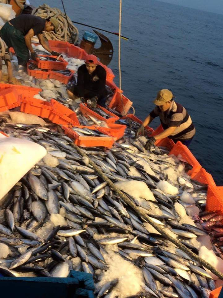 Nhờ kinh nghiệm và đầu tư thiết bị, máy móc hiện đại mà anh Cảnh luôn đánh bắt hiệu quả. Nhờ kinh nghiệm và đầu tư thiết bị, máy móc hiện đại mà anh Cảnh luôn đánh bắt hiệu quả.