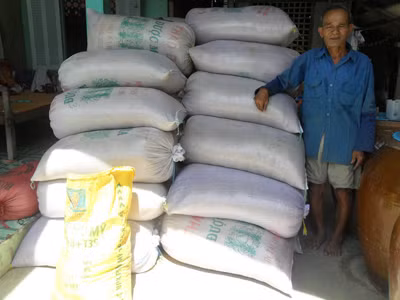 Ông Võ Văn Năm bên đống lúa chưa bán được. ẢNH: HOÀ HỘI
