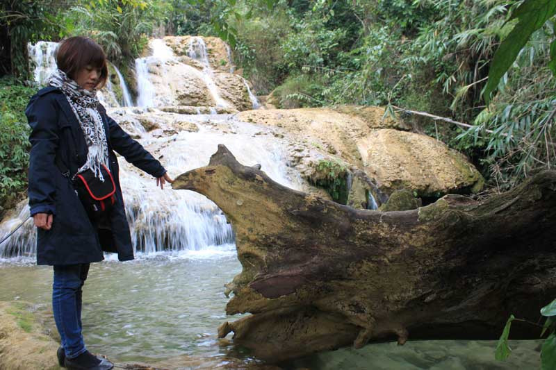 Một gốc cây to chưa kịp hóa đá do suối Hiêu đang vào mùa nước cạn